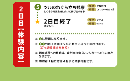 ＜ツルのねぐら・採食場観察ツアー（ねぐら立ち見学付き）＞ つる ツル 鶴 鳥 野鳥 貴重 体験 観察 ツアー ねぐら ネグラ ねぐら観察 ねぐら入り ねぐら立ち ナベヅル 鍋鶴 マナヅル 真鶴 真名鶴 野鳥観察 採食場 西予市観光物産協会 愛媛県 西予市 USB0008