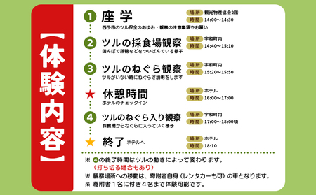 ＜ツルのねぐら・採食場観察ツアー（ねぐら立ち見学無し）＞ つる ツル 鶴 鳥 野鳥 貴重 体験 観察 ツアー ねぐら ネグラ ねぐら観察 ねぐら入り ねぐら立ち ナベヅル 鍋鶴 マナヅル 真鶴 真名鶴 野鳥観察 採食場 西予市観光物産協会 愛媛県 西予市 USB0009