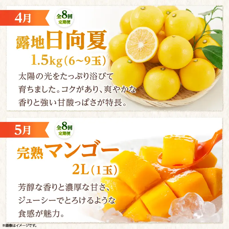 【全8回お届け】宮崎県綾町産 果物・野菜定期便 [X20]_A0113-0011