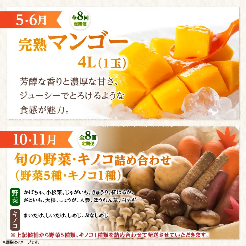 【全8回お届け】特選！！宮崎県綾町産 果物・野菜定期便 [Y20]_A0113-0031