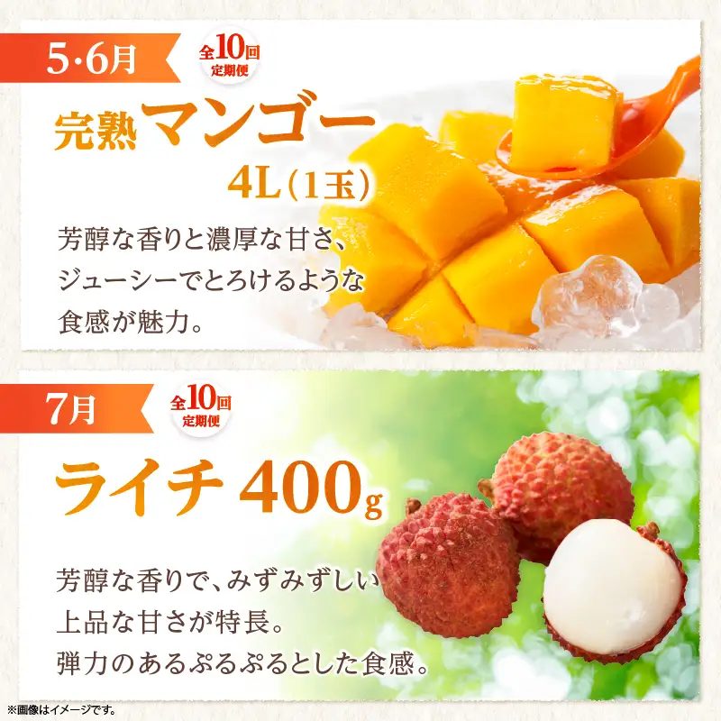 【全10回お届け】特選！！宮崎県綾町産 果物・野菜定期便 [Y21]_A0113-0041