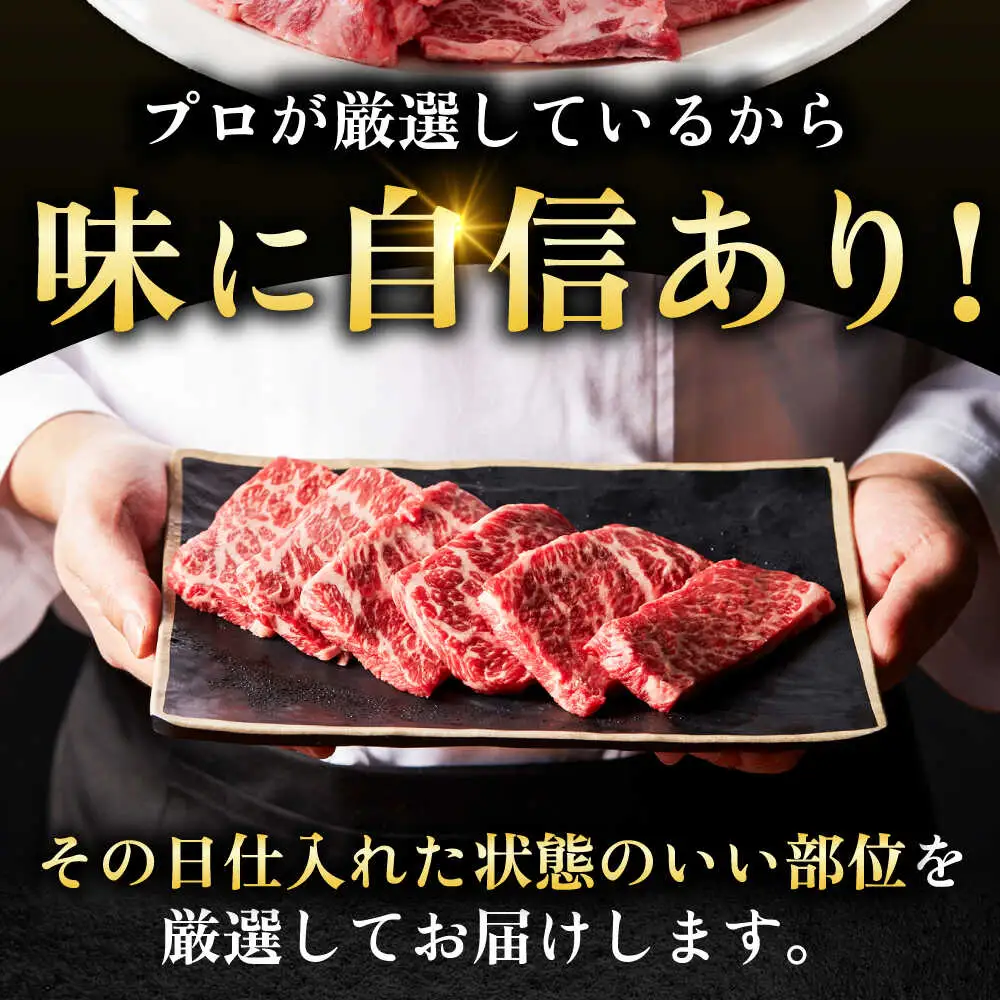 艶さし！【A4～A5】希少部位!佐賀牛おまかせ焼肉6種盛りセット 吉野ヶ里町/株式会社MEAT PLUS[FDB078]