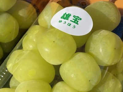 【2026年先行予約】信州伊那産ぶどう２種詰合せセット（約1.5kg）シャインマスカット 雄宝 【018-31】