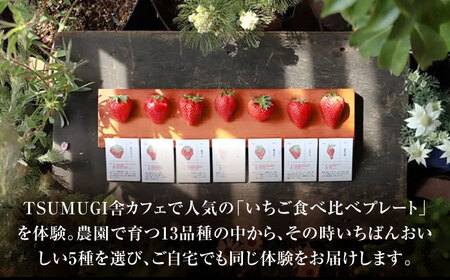発送月が選べる いちご 5品種 おまかせ 食べ比べセット 農 × カフェ 旬のフルーツ 亀山市 / TSUMUGI舎[AMCF001]