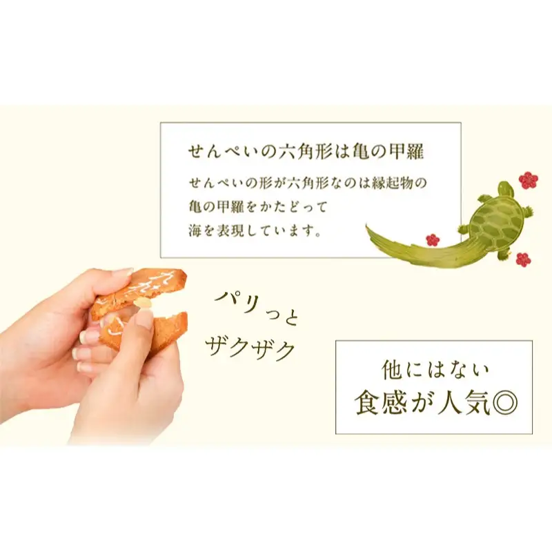 九十九島せんぺい心ばかりの贈り物24枚×5個