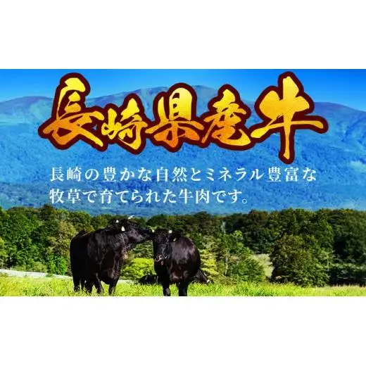 長崎県産牛 ヒレステーキ(12枚)