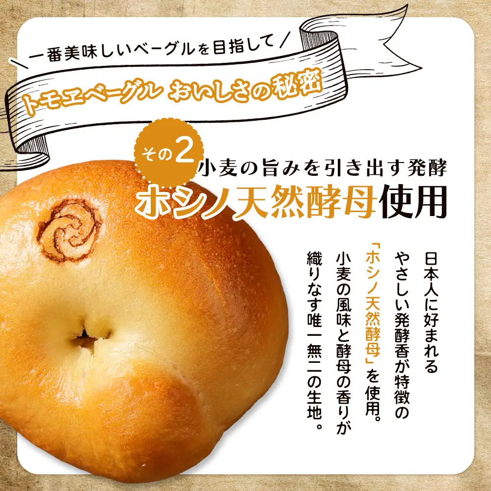 トモヱベーグル「クリームチーズブルーベリー」10個セット【33003101】