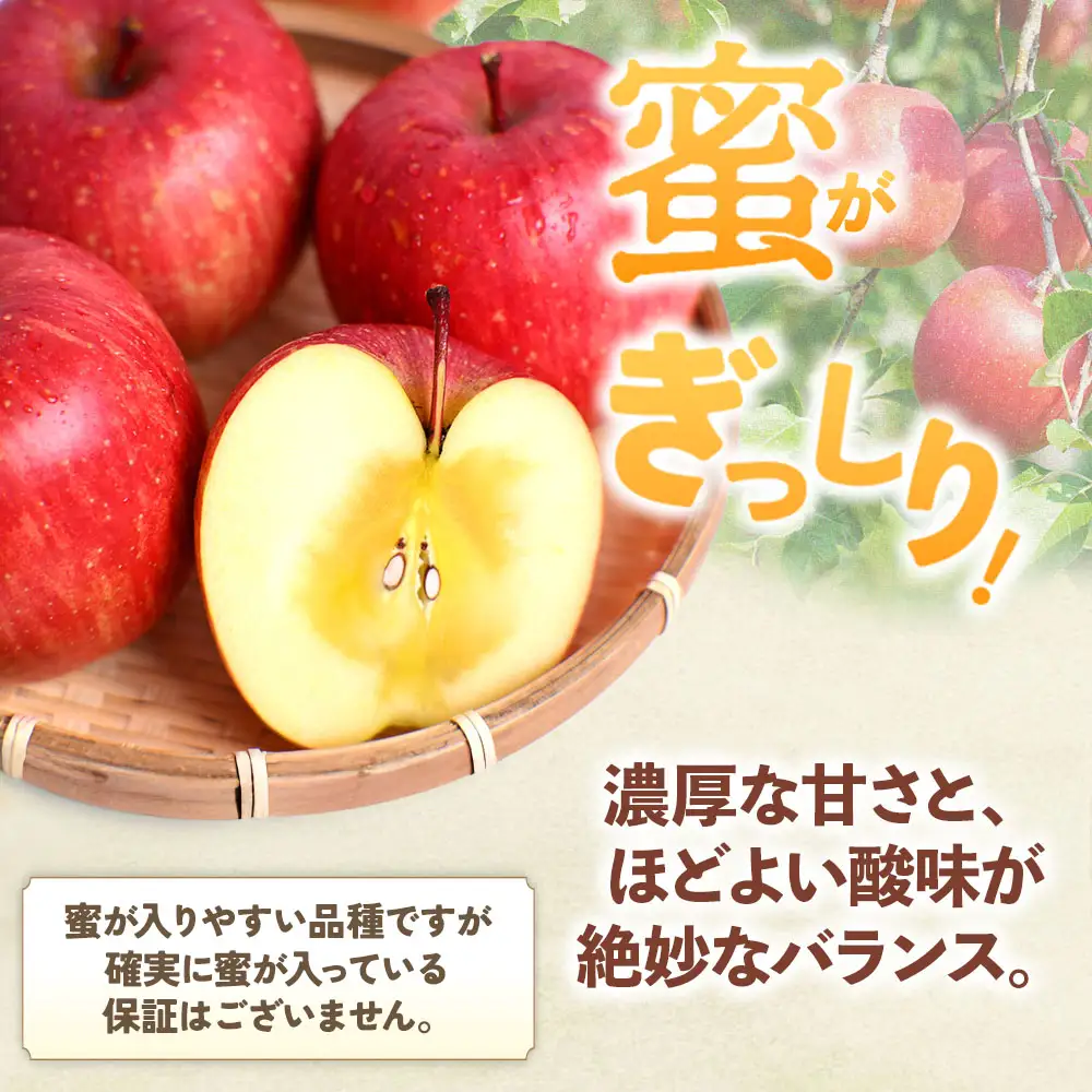 りんご 訳あり 青森県産 サンふじ 約3kg  【高原農園】 りんご