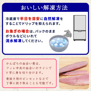 【 カンパチ 】 カンパチ刺身900g