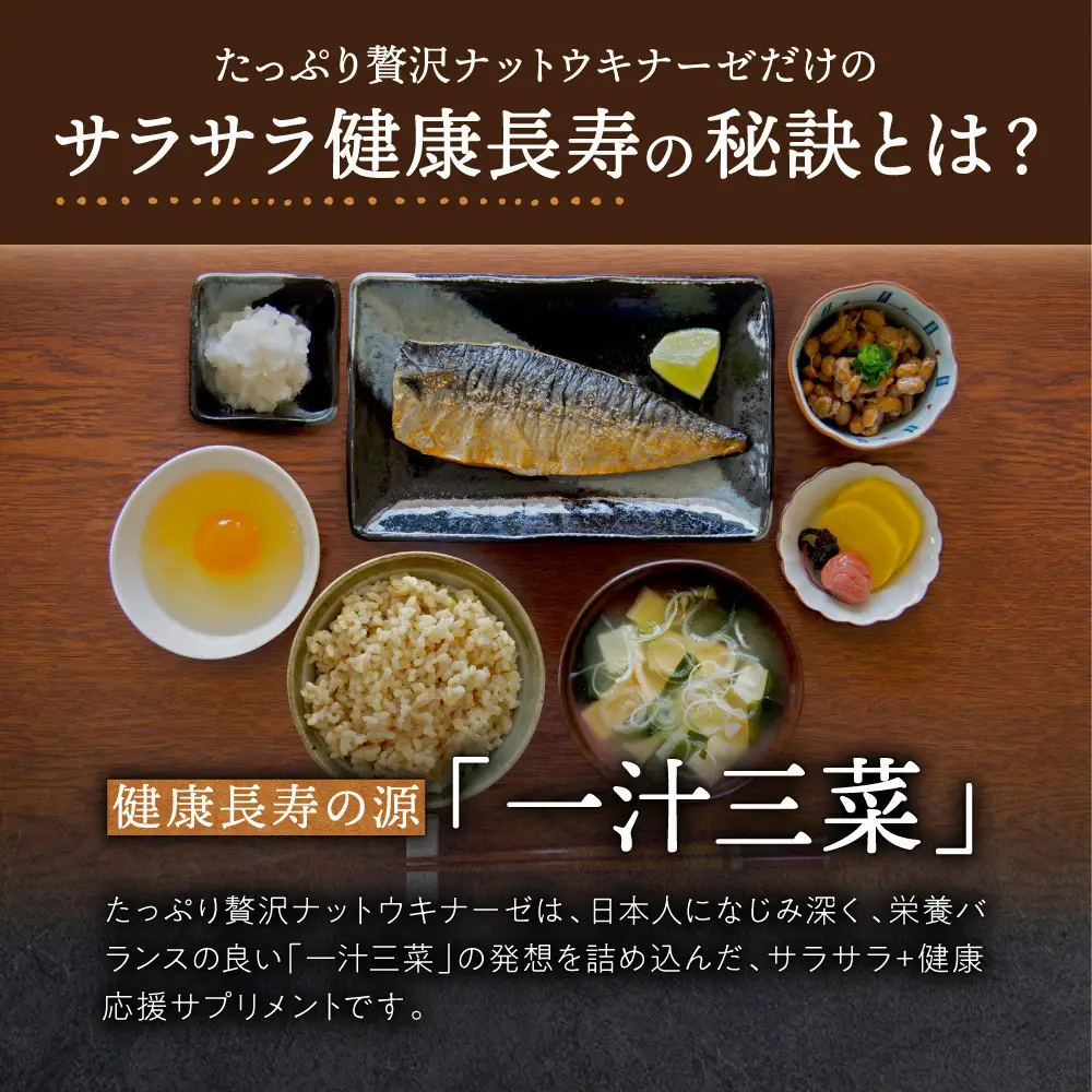 ナットウキナーゼ サプリメント たっぷり贅沢ナットウキナーゼ 3袋