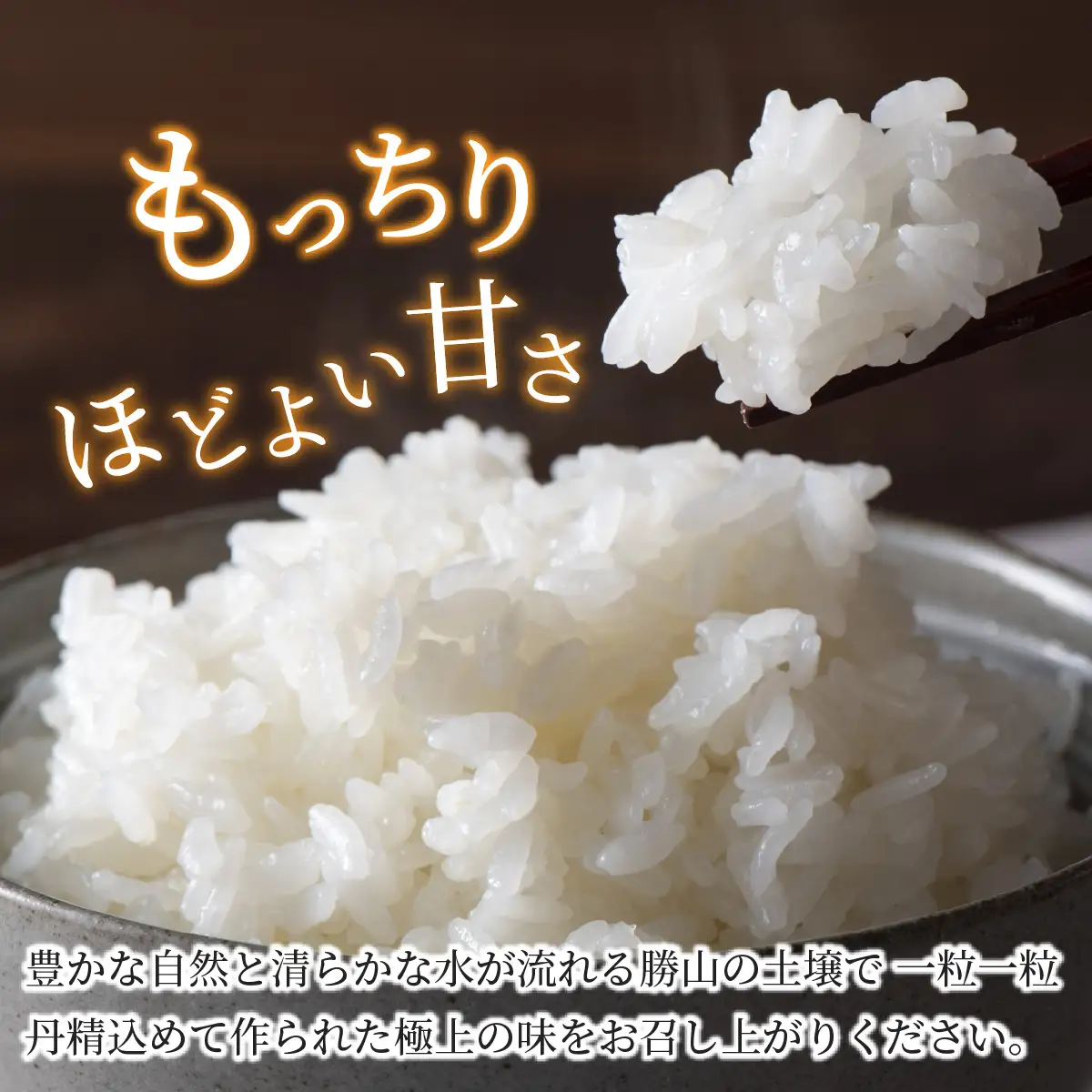 米 コシヒカリ 勝山産 ちゃまごん米 5kg×3回  定期便 [E-010034]