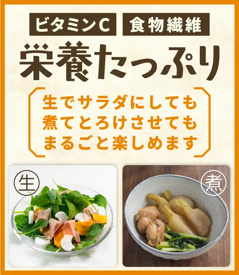 先行予約 村上農園産 小かぶ5パック入り (2玉×5袋) 計10個 2026年10月中旬以降順次発送予定 野菜 かぶ 新鮮 [A-16517]