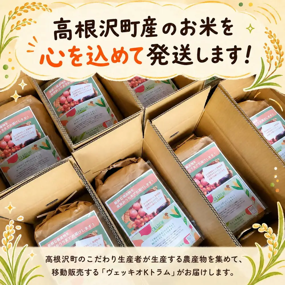 【新米】高根沢町産コシヒカリ（精米）10kg ※2026年10月～発送