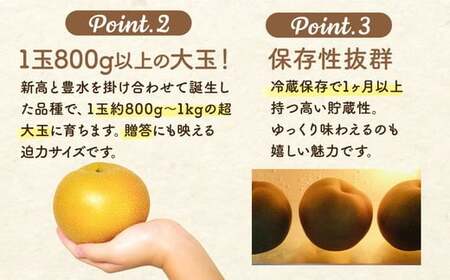 高根沢町産にっこり梨（約5kg・5～8玉入り）| 梨 なし ナシ 果物 くだもの フルーツ 甘い 秋の味覚 産地直送 期間限定 季節限定 季節商品 送料無料 国産 栃木県 高根沢町※2026年10月～発送