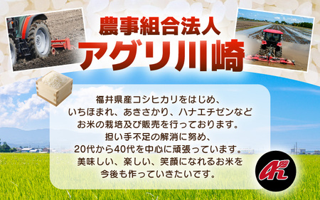 【先行予約】【令和8年産・新米】 坂井市産 コシヒカリ 白米 5kg (アグリ川崎) 【2026年10月以降順次発送予定】 精米 おこめ [A-20509]
