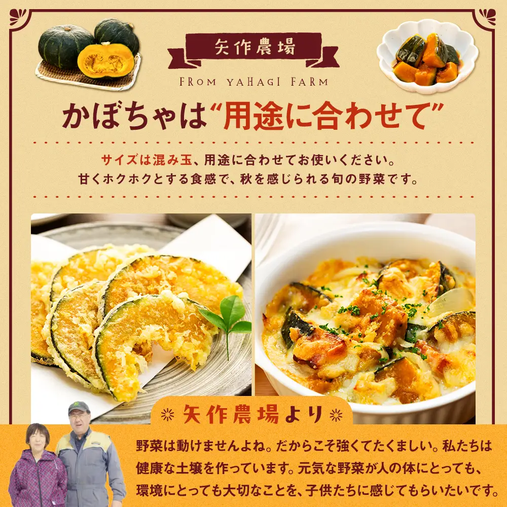【先行受付】R8年産 有機栽培かぼちゃ 10kg | かぼちゃ カボチャ 南瓜 大容量 パンプキン 甘い 有機栽培 国産 産地直送 北海道 津別町 送料無料