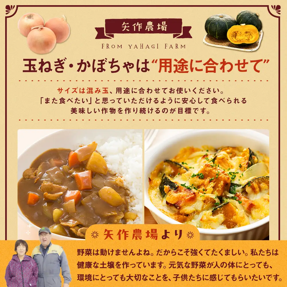 【先行受付】R8年産 有機栽培玉ねぎ・かぼちゃセット 合計20kg | 玉ねぎ たまねぎ タマネギ 玉葱 かぼちゃ カボチャ 南瓜 セット 詰め合わせ 大容量 オニオン パンプキン 甘い 有機栽培 国産 産地直送 北海道 津別町 送料無料