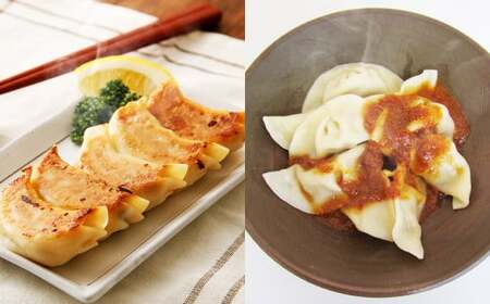 051-1169x1 焼き餃子と一口餃子（水餃子）「Aセット」合計54個 タレ付き 焼き餃子 一口餃子 水餃子 餃子 ぎょうざ ギョウザ  冷凍 おかず おつまみ 中華