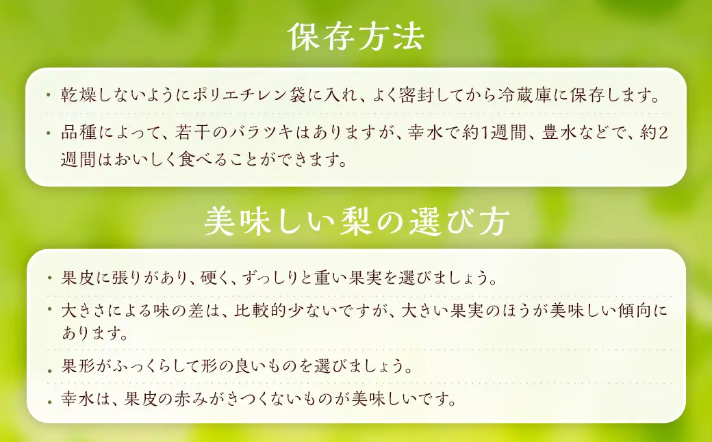 幸水梨 約1.2kg～1.5kg 3玉 【よらん野】【2026年7月下旬から8月下旬発送予定】 ナシ なし 梨 フルーツ くだもの 果物 果実 3玉