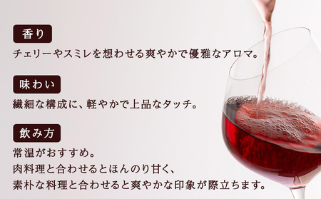 千歳ワインピノノワール2023 （Chitose Wine PINOT NOIR2023）750ml 1本＜ギフト箱入＞