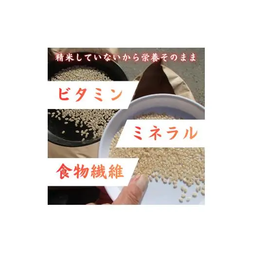 利根町産　コシヒカリ　玄米　5kg ／ 米 こめ コメ お米 おこめ コシヒカリ こしひかり 令和7年産 玄米 ごはん ご飯 5kg 健康志向 茨城県 利根町 産地直送 送料無料