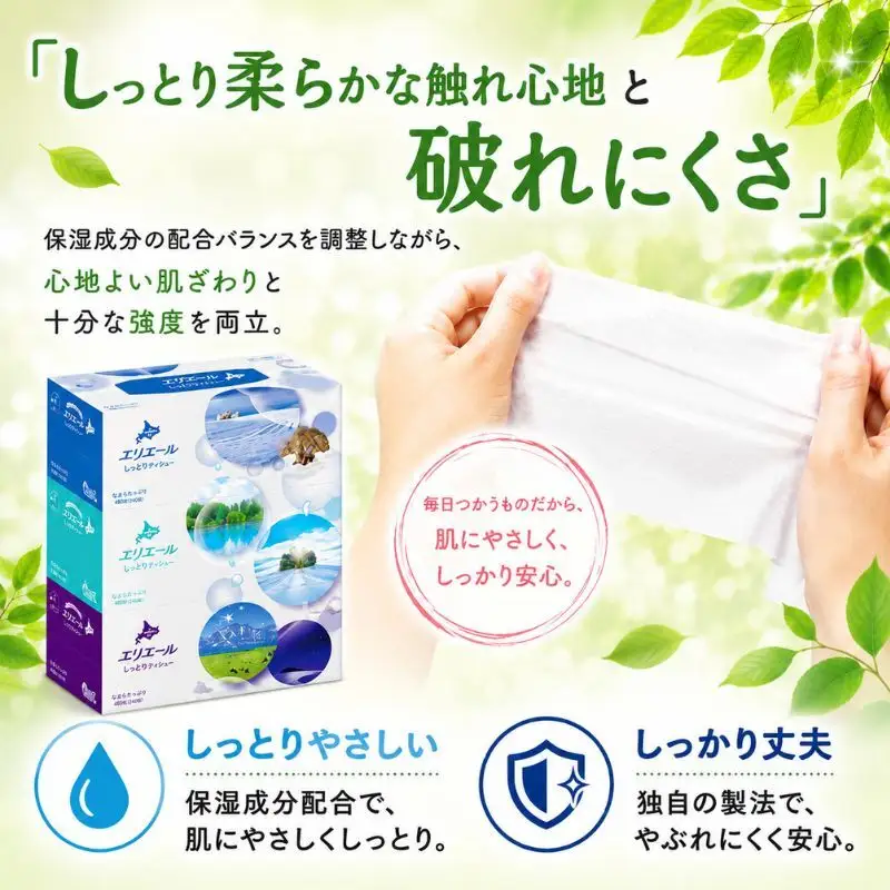 定期便 3ヵ月連続お届け エリエール ハーフサイズ 収納に便利 コンパクト 【少量5パック】 北海道 しっとりティシュー なまらたっぷり 240組3箱 5パック 計15箱 ボックスティシュー ふるさと納税限定デザイン