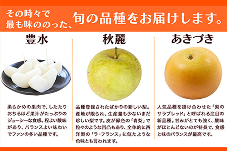 梨 熊本県産 玉東梨 約5kg 坂村梨園 熊本 梨