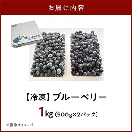 冷凍ブルーベリー 1kg【配送不可地域：離島】【1689025】