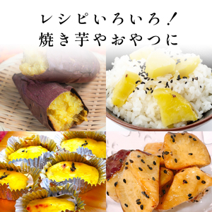 【訳あり】 丹波篠山産 さつまいも 追熟 紅はるか サイズ混合 3kg （M～2L）さつま芋 [CD111]