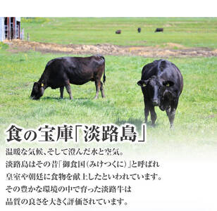 淡路牛　焼肉用　ロース　１kg（500ｇ×2）