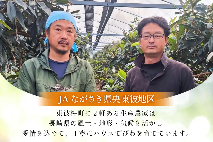びわ 長崎 ハウスびわ 1kg 化粧箱入 【2027年3月順次発送】
