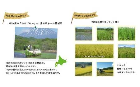 【令和8年産】 蘭越産 ゆめぴりか玄米 10kg 【2026年11月上旬~2027年3月下旬まで順次発送予定】 玄米 米 お米 コメ ゆめぴりか 冷めても おいしい 常温 北海道 蘭越町