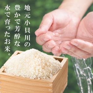 R7年産取手市産あきたこまち 精米10kg（5kg×2袋）|お米 米 白米 茨城県 取手市（BS012）
