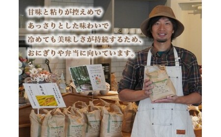 【射水の美味しいお米】【自然栽培農法】自然栽培農家 marufarm 自然栽培米「亀の尾」2kg