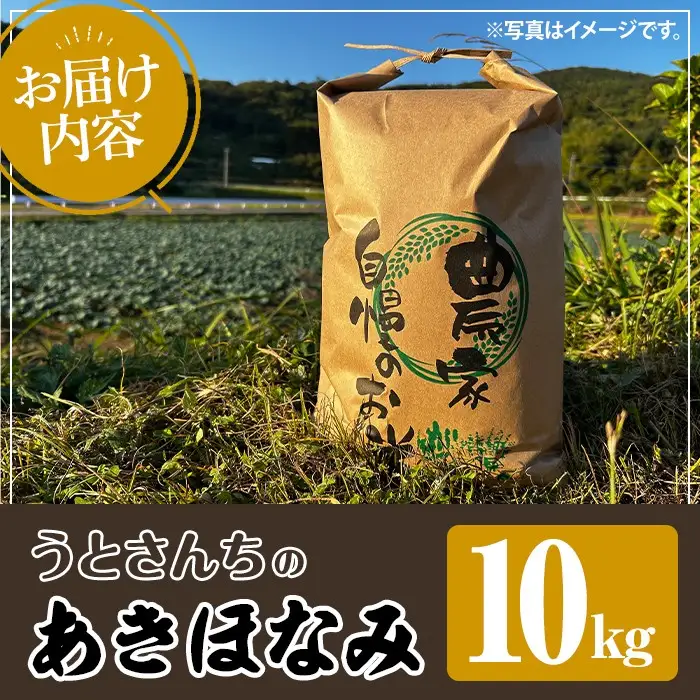 無洗米 あきほなみ (10kg) 国産 米 お米 コメ 白米 アキホナミ ごはん ご飯 お弁当 おにぎり 特A 【うとさんち】akn067-22