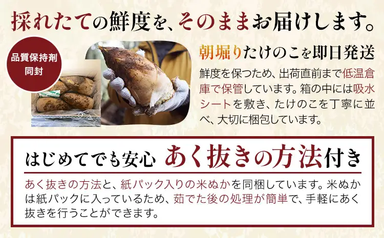 【先行受付】【2回定期便】特選 生たけのこ 食べ比べ 2kg×2回 《3月中旬-4月中旬頃出荷》 熊本県 南関町産 春 筍