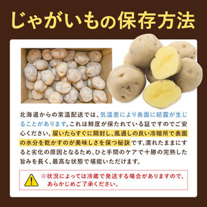 【先行予約】 北海道 十勝野 じゃがいも きたあかり 10kg 芋 いも