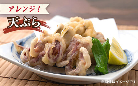 剣先イカ 750g(約6〜8本) セット【丸徳水産】《対馬市》鮮度抜群 新鮮 ケンサキイカ シロイカ 下処理済 刺身 BBQ 惣菜 天ぷら フライ 海鮮[WAE012]