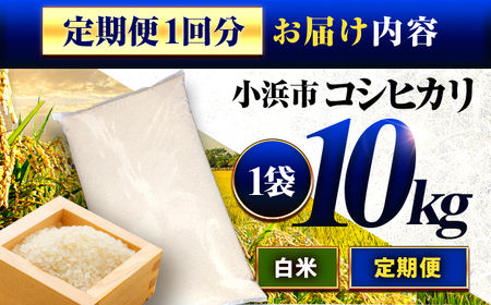 【6回定期便】お米 小浜市産コシヒカリ お米 10kg 小浜市 梅田東米穀店[BFEK018]
