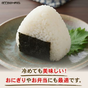 【使用しない】令和7年度 南国市産 コシヒカリ 白米 5㎏ | 数量限定 米 コメ お米 ご飯 おにぎり こめ 弁当 高知県 南国市 AH007