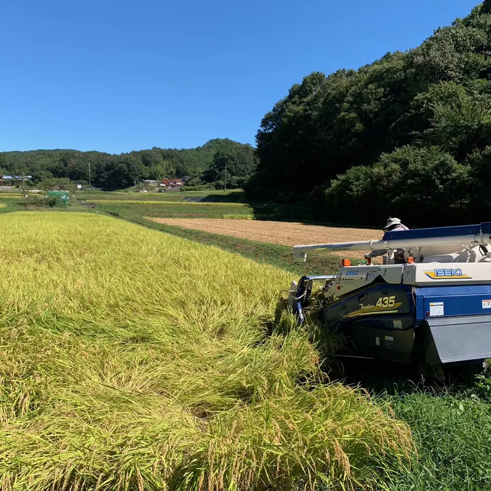 備後の恵み ゆうだい21 5kg 【広島県産】 農家直送 こだわり栽培米 ／ お米 米 こめ 精米 白米 5kg 5キロ 栽培期間中 農薬5割減 化学肥料5割減 国産 産地直送 産直 お取り寄せ こだわり 特別栽培 食味 おいしい おすすめ No.1174