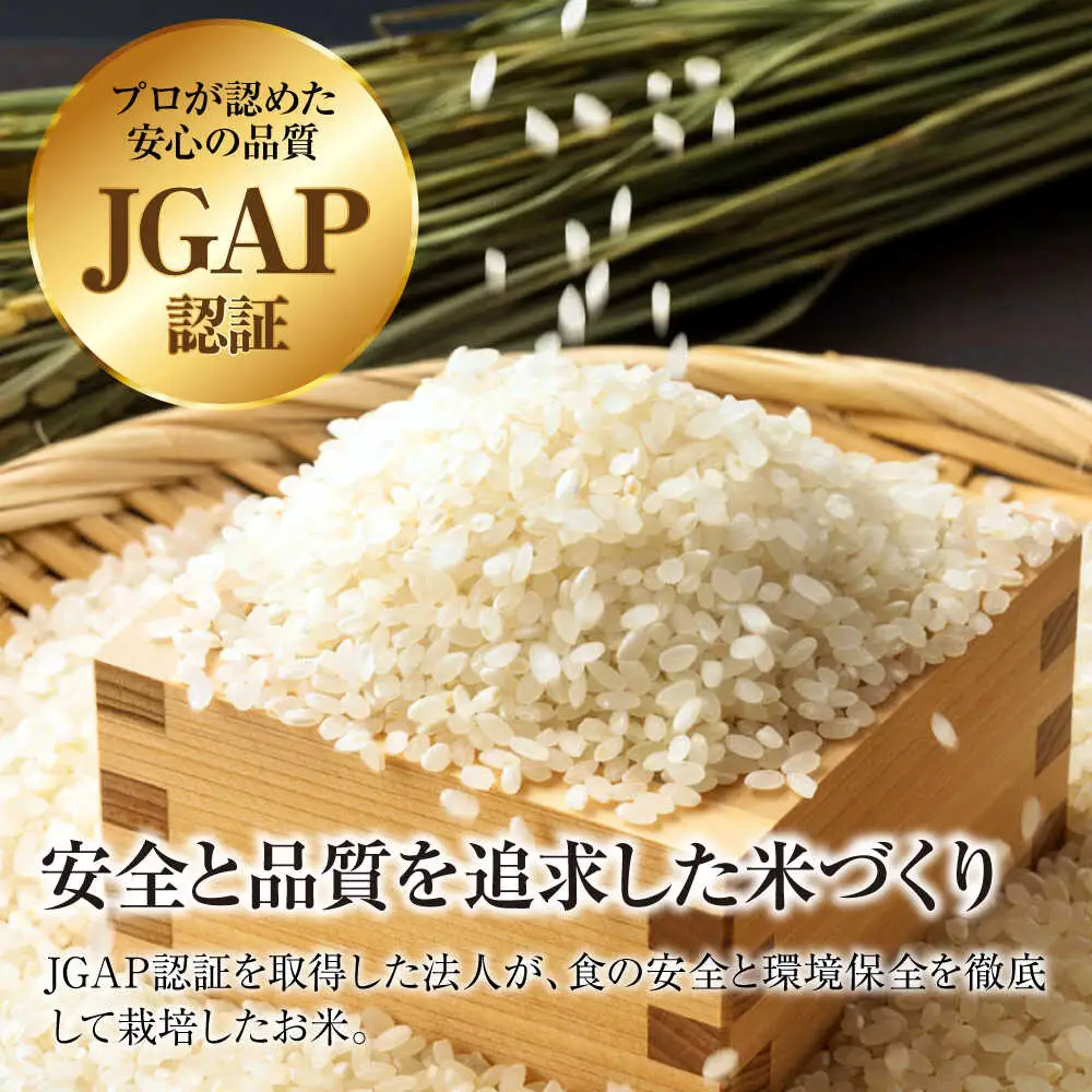 【全2回定期便】こしひかり 5kg 【令和7年産米】 [APDC003] コシヒカリ