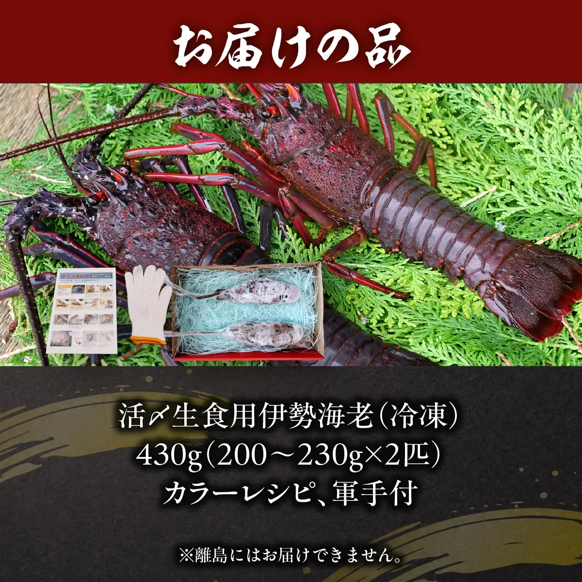 活〆生食用伊勢海老（冷凍）430g（200～230g）×2匹  ONJB033