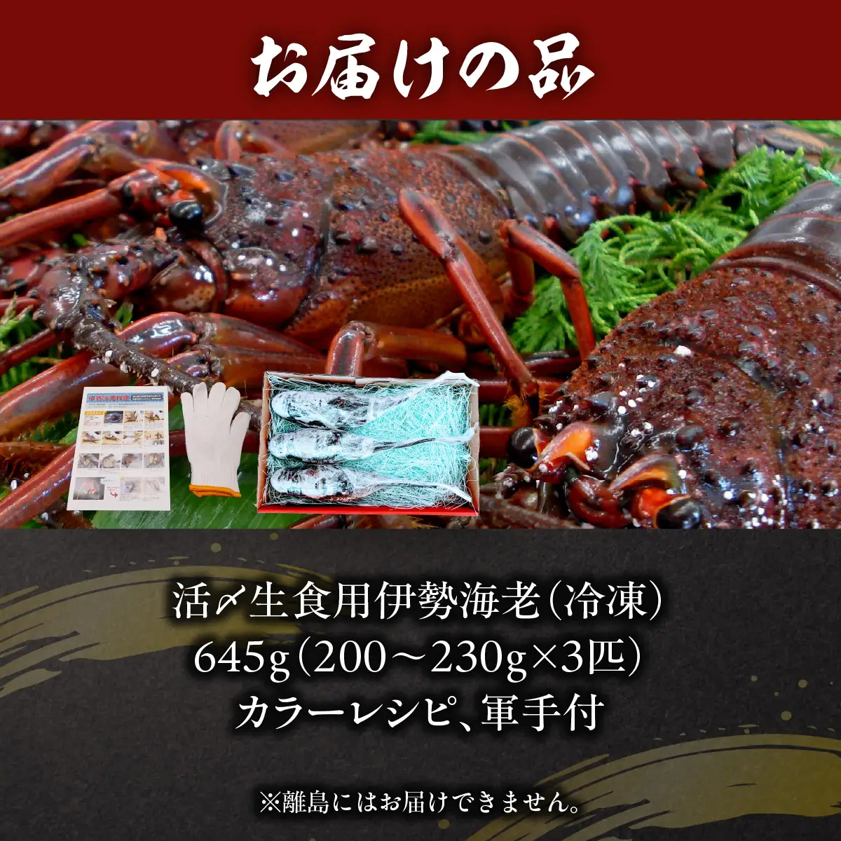 活〆生食用伊勢海老（冷凍）６４５ｇ（２００～２３０ｇ）×３匹　/  ONJB012　伊勢海老　海老　イセエビ　生食用