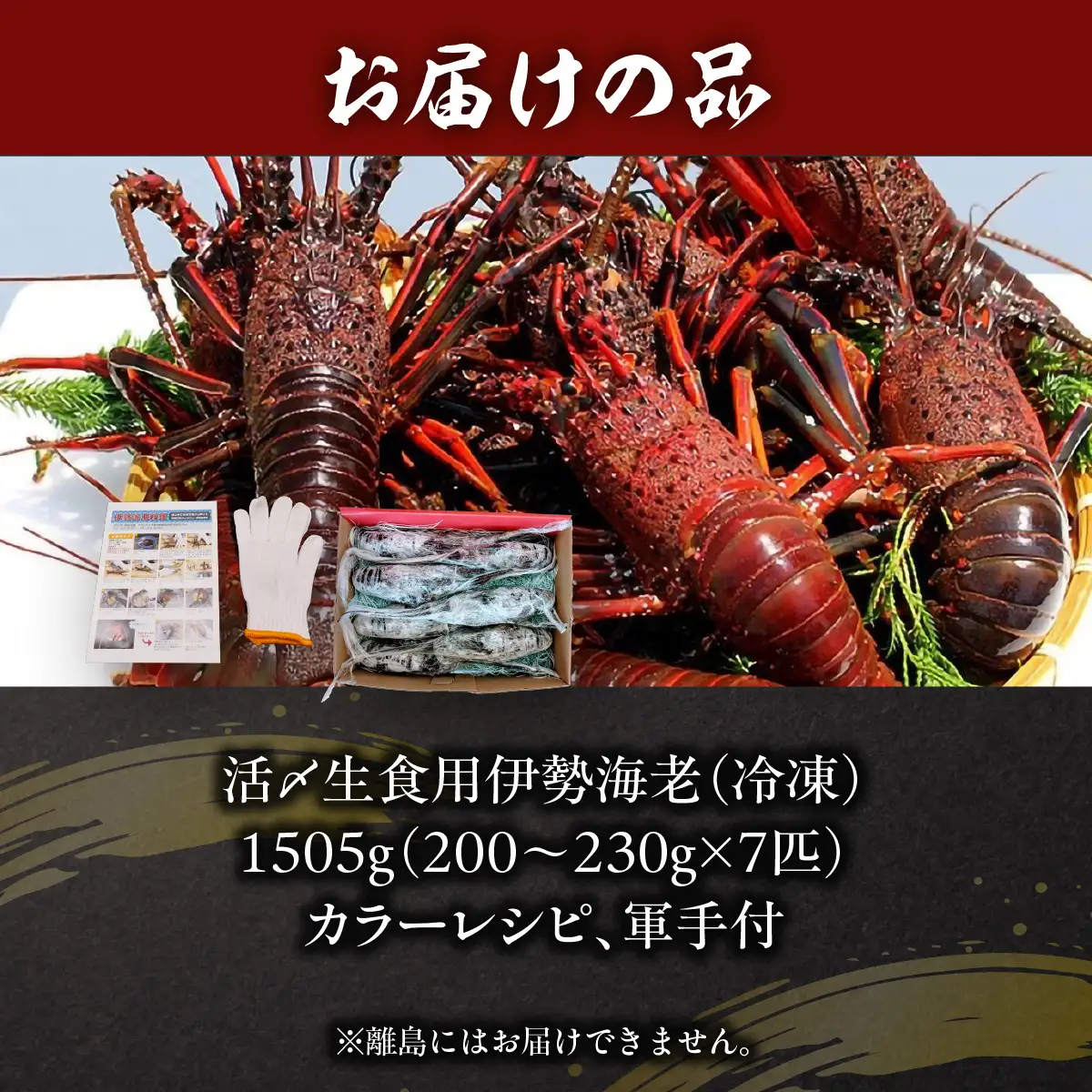 活〆生食用伊勢海老（冷凍）１５０５ｇ（２００～２３０ｇ）×７匹　/  ONJB025　伊勢海老　海老　イセエビ　生食用