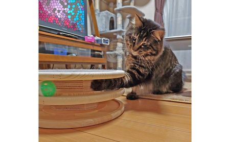 猫用おもちゃ 玉転がし ボール 爪とぎ ひとり遊び 猫用おもちゃ
