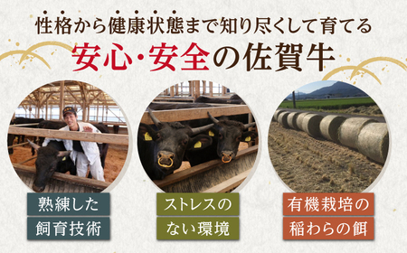 【全6回定期便】佐賀牛 ヒレステーキ 300g （100g×3枚） 【山下牛舎】黒毛和牛 フィレ ヒレ肉[HAD175]