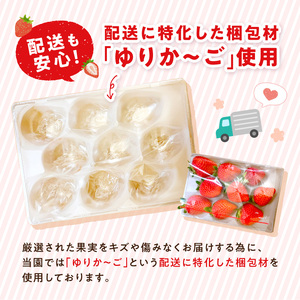★先行予約★贈答用いちご 3品種食べ比べセット(3パック入)[1月中旬より順次発送]【097007C000】