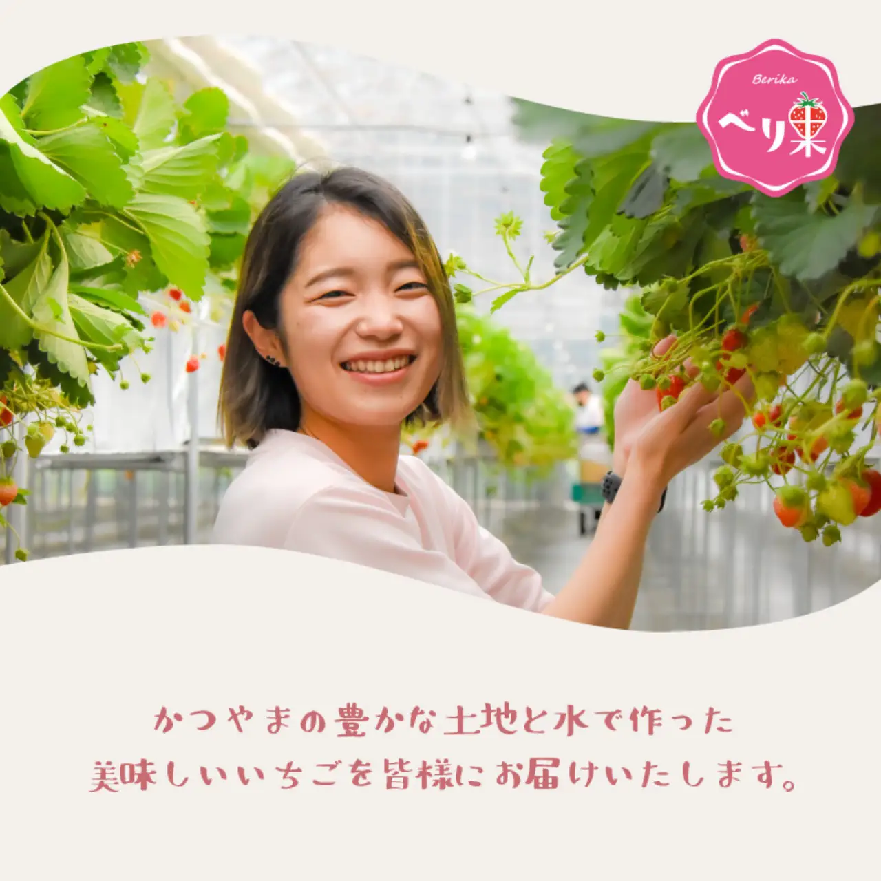 どら焼きアイス3個 どら焼き