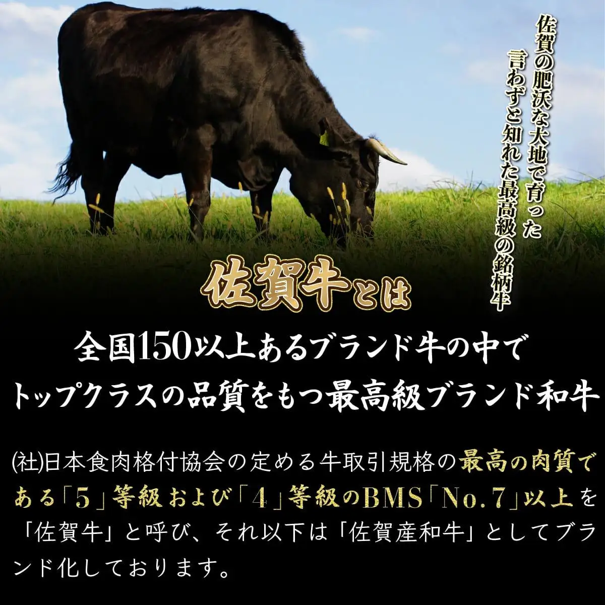 佐賀牛切り落とし 500g